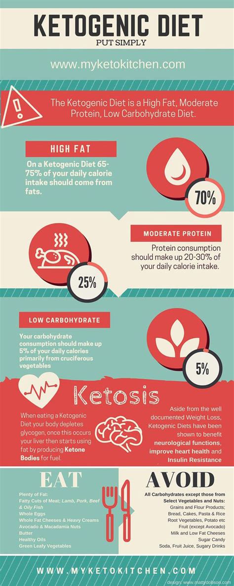 Those unfamiliar with the terms vegan and vegetarian have probably pondered the difference between the two. Ketogenic Diet Explained {Infographic} - Best Infographics