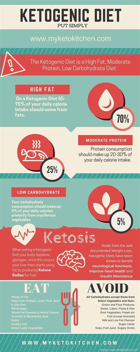 Ketogenic Diet Explained Infographic Best Infographics