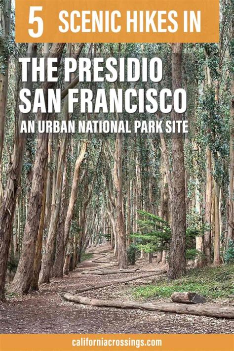 where to go hiking in the presidio 5 top trails