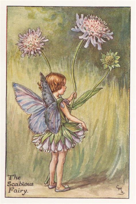 Flower Fairies The Scabious Fairy Vintage Print C1930 By Etsy Denmark