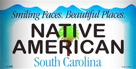 South Carolina Native American Novelty State Background