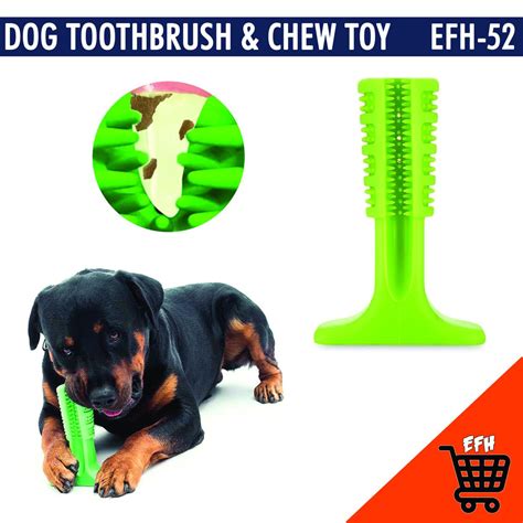 Download latest version of the best android mod apps and games apk in modapkdown.com. Dogs For Sale In Sri Lanka Colombo - Cat's Blog