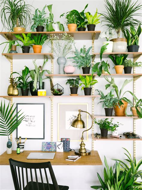 15 Gorgeous Ways To Decorate With Plants — Old Brand New