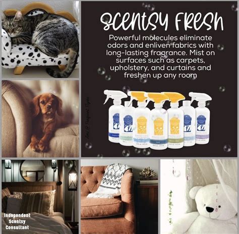 Scentsy Fresh Scentsy Scentsy Consultant Ideas Scentsy Party