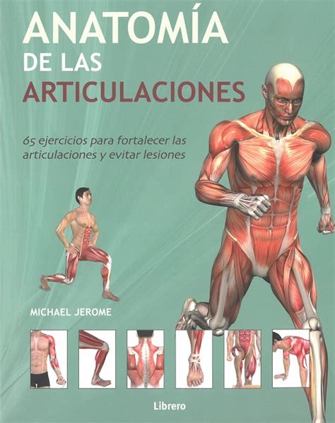Alfaomega Anatomía De Las Articulaciones Jerome Michael Item