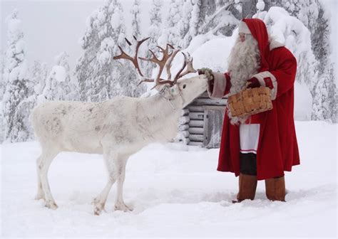 Santa Claus Feeding Reindeer At The Top Ritavaara In Pello In Lapland Travel Pello Lapland