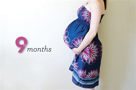 Bloomerism A Blog By Inbloom Event Design Baby Bloomer Bump Update