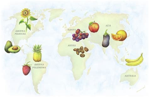 Skąd pochodzą warzywa i owoce National Geographic