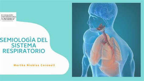 Ppt Semiologia Del Aparato Respiratorio Introduccion Dokumen Tips The