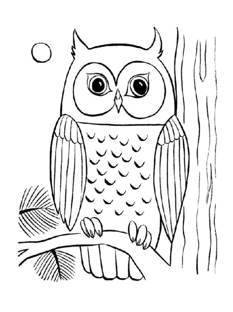 Owl Adult Coloring Page Coloring Pages