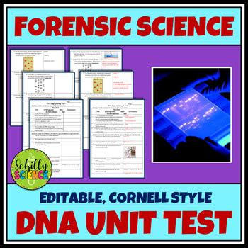 In the dna analysis gizmo™, you will analyze partial dna sequences of. Student Exploration Building Dna Answer Key Quizlet + My ...