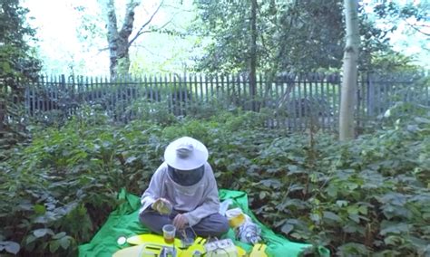 Watch What This Beekeeper Does With Bee Sounds And Honey