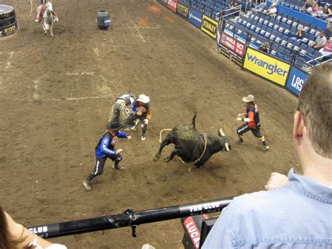 Rank Bull Riding News The View From Above