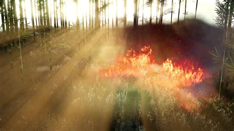 Wind Blowing On A Flaming Bamboo Trees During A Forest Fire 5637564