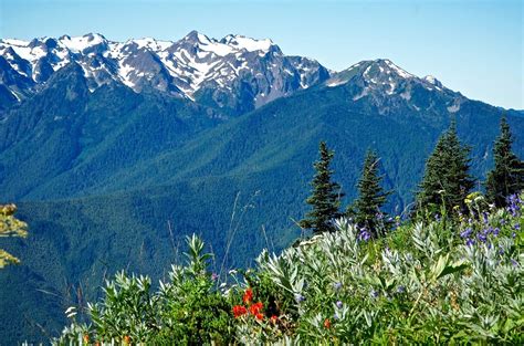 Guided Hiking Tour In Olympic National Park Evergreen Escapes