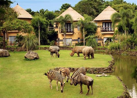 Mara River Safari Lodge In Bali Safari Marine Park South Of Gianyar