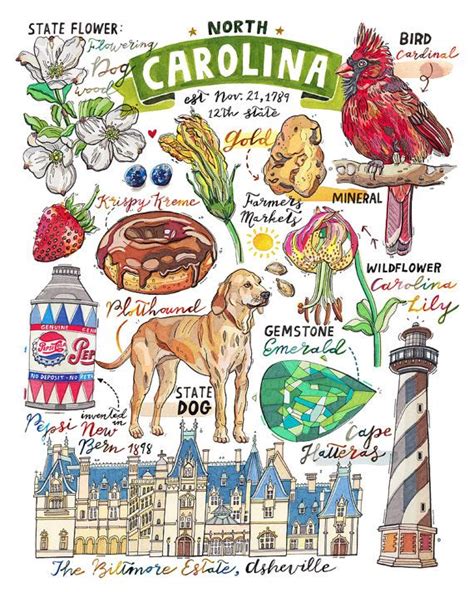 North Carolina Print State Symbols Illustration State Art Etsy