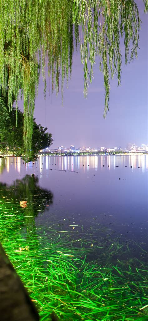 Wallpaper Hangzhou West Lake Night Trees Green Illumination Park