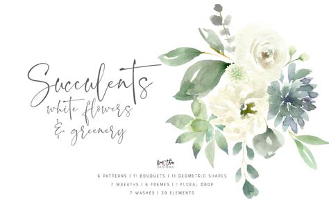 Hence, the succulent is a prevalent plant of choice in many dry climates. Succulents, White Flowers and Greenery Design Set ...