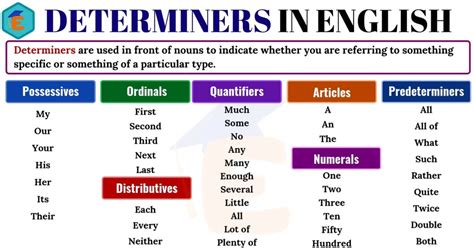 The contents covers the outline of b.com, bba. Determiners | Definition, Useful List & Examples in ...