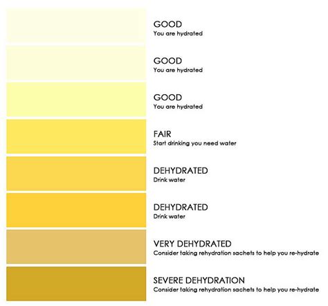 8 Color Scale Urine Hydration Chart Download Scientific Diagram