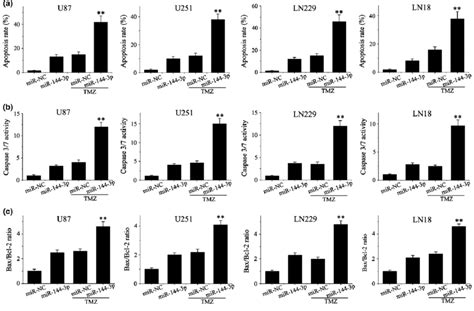 mir 144 3p mimics sensitizes glioblastoma gbm cells to temozolomide download scientific