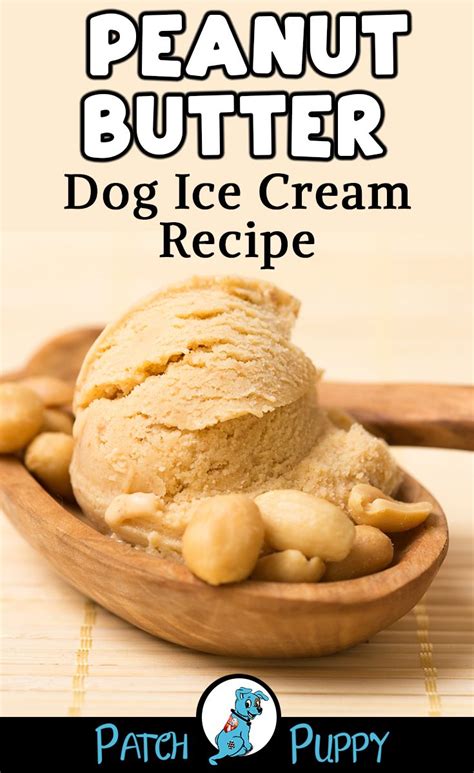 A Scoop Of Peanut Butter Dog Ice Cream In A Wooden Spoon With The Title
