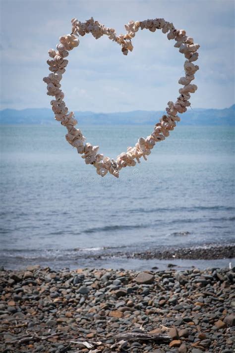 Heart Made Of Shells Stock Image Image Of Heart Design 69395229