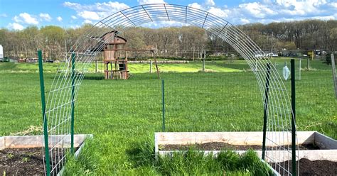 How To Build A Cattle Panel Trellis