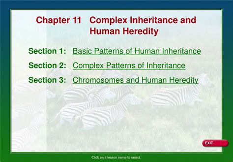 Ppt Section 1 Basic Patterns Of Human Inheritance Powerpoint