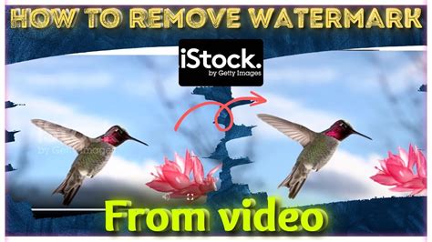 How To Remove Istock Video Watermark How To Download Istock Videos