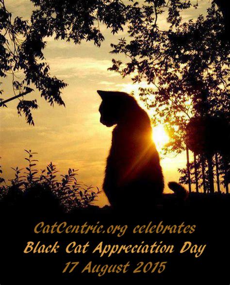 Lying and claiming/posting someone else's cat is/as your own will result in an immediate ban, with no warnings given. Today is Black Cat Appreciation Day! - CatCentric