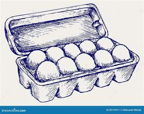 Eggs In A Carton Package Stock Vector Illustration Of Object 29179311