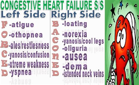 Congestive Heart Failure Signs And Symptoms Mnemonic ~ The Nursing Corner