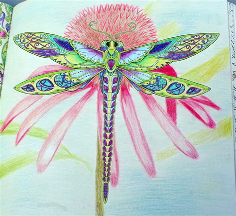 Johanna Basford Enchanted Forest Coloring Primacolor Premiere Dragonfly