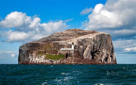 Bass Rock Scotland Bing Wallpaper 42977402 Fanpop