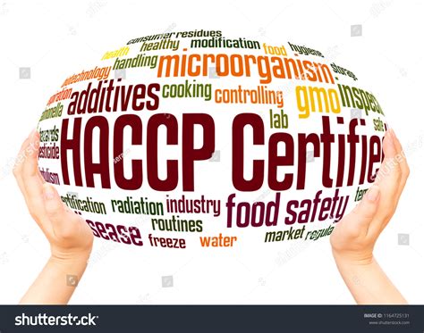 Haccp Certified Word Cloud Hand Sphere Stock Illustration