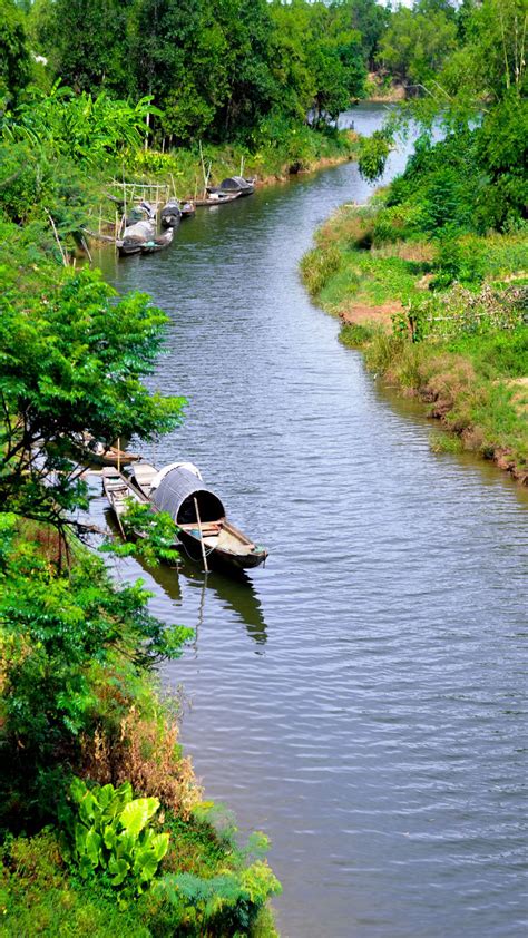 565 Hình Nền Quê Hương Nhìn Đẹp Bình Dị Thân Thương