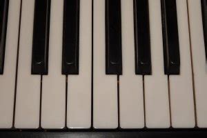 Купить lictin 88 tastatur klavierabdeckung elektronische klavier abdeckung klaviertastatur staub abdeckung tastatur staubschutz tastaturabdeckung schutz für. Klaviertasten Beschriftung Hinstellen