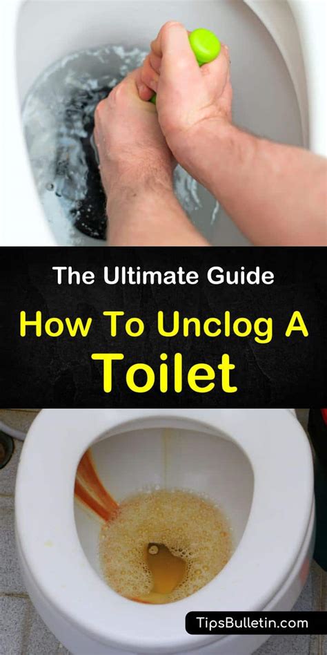 13 Fast And Easy Ways To Unclog A Toilet