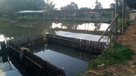 Desa Sawah Restoran And Villa Bogor Indonésie Tarifs 2024