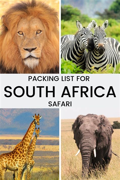 What To Wear On Safari In South Africa A Packing Guide