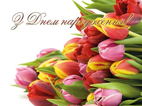 З днем народження щиро вітаємо, щастя і здоров'я ми вам бажаємо! Вітаємо головного інженера з Днем народження!