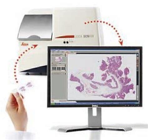 Slide Scanner For Optimal Histological Examinations Labmate Online