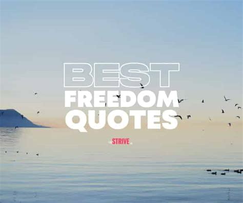 25 Inspirational Quotes On Freedom The Strive