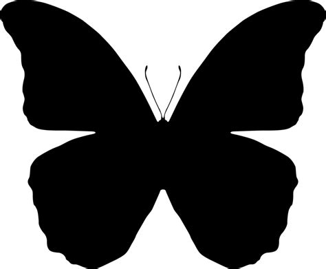 Butterfly Silhouettes Vector Download
