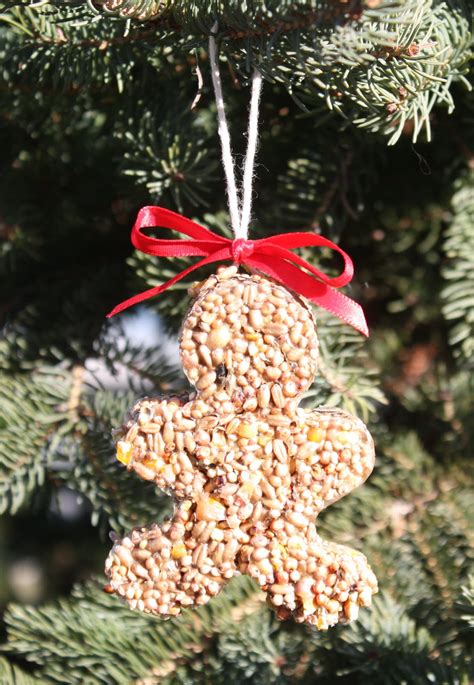 Stir in ¼ cup chopped nuts (any variety will do) and ¼ cup birdseed. Thimbles, Bobbins, Paper and Ink: Bird seed ornaments