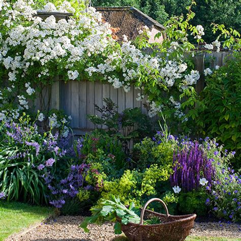 Design Your Own Romantic English Rose Garden