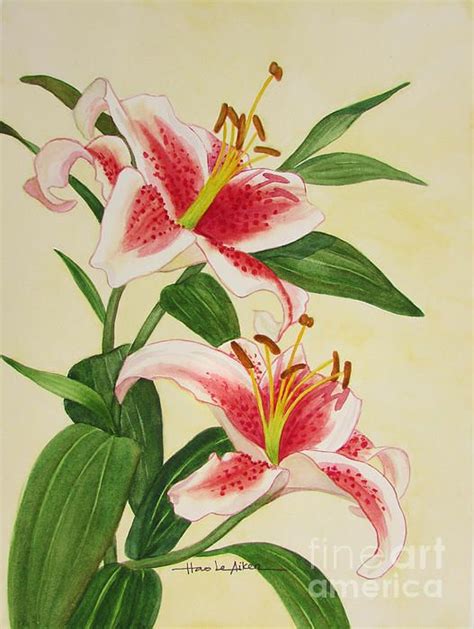 Stargazer Lilies Watercolor By Hao Aiken Watercolor Stargazer Lily