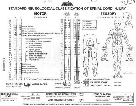 Asia Scale Sample Spinal Cord Injury Spinal Cord Nursing Mnemonics
